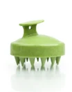 Brosse de Massage