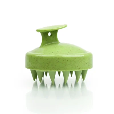 Brosse de Massage