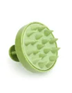 Brosse de Massage