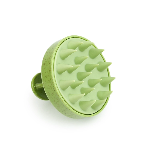 Brosse de Massage