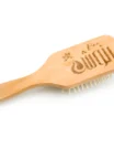 Brosse en bois